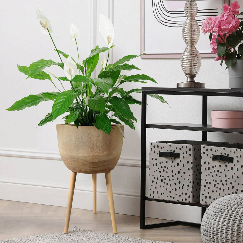Lechuza Hortico Gaia Brown Wooden Planter with Legs H55cm Image 2