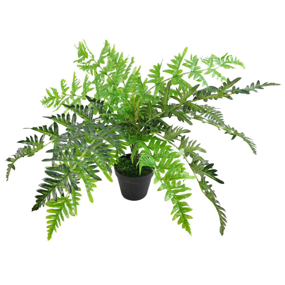 Leaf Fern Artificial Plant in Plastic Pot 1.6ft Image 1