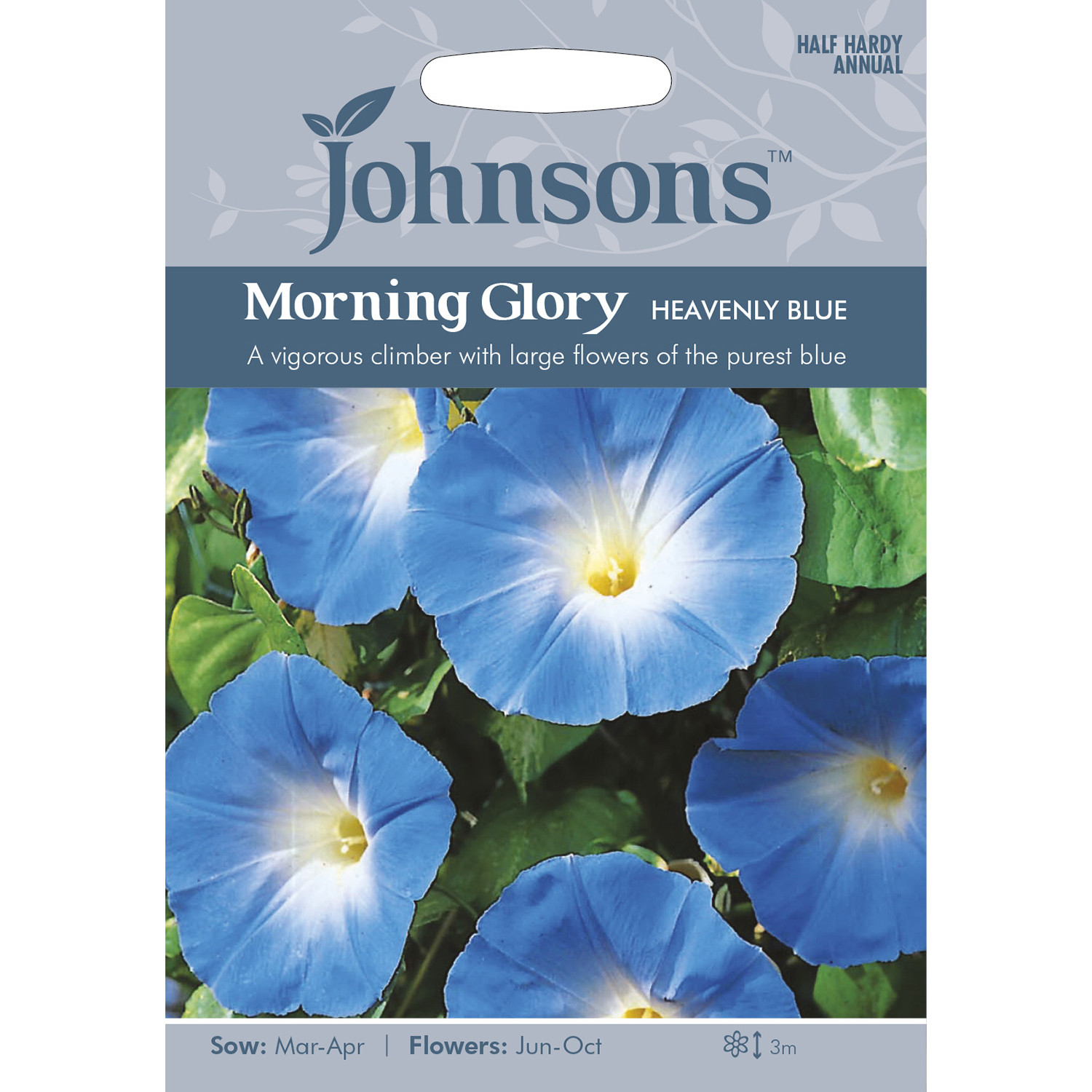 Johnsons Morning Glory Heavenly Blue Flower Seeds Image 2