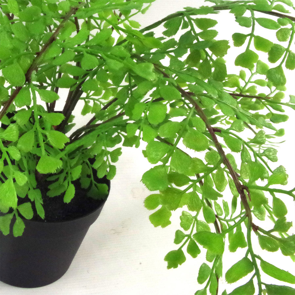 Leaf Southern Maidenhair Artificial Plant Pot 1.14ft Image 2