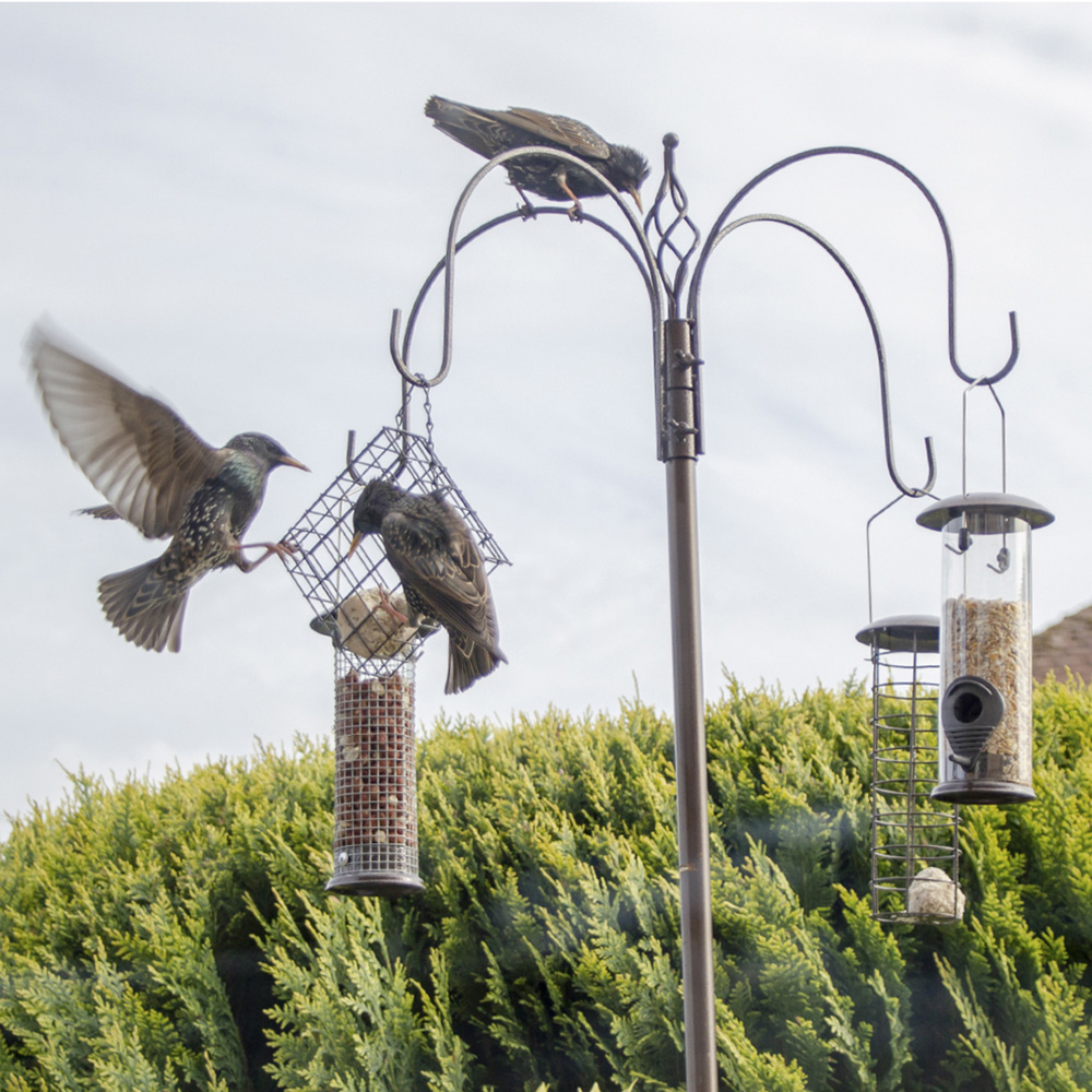 Gardenkraft Metal Bird Feeding Station Image 4