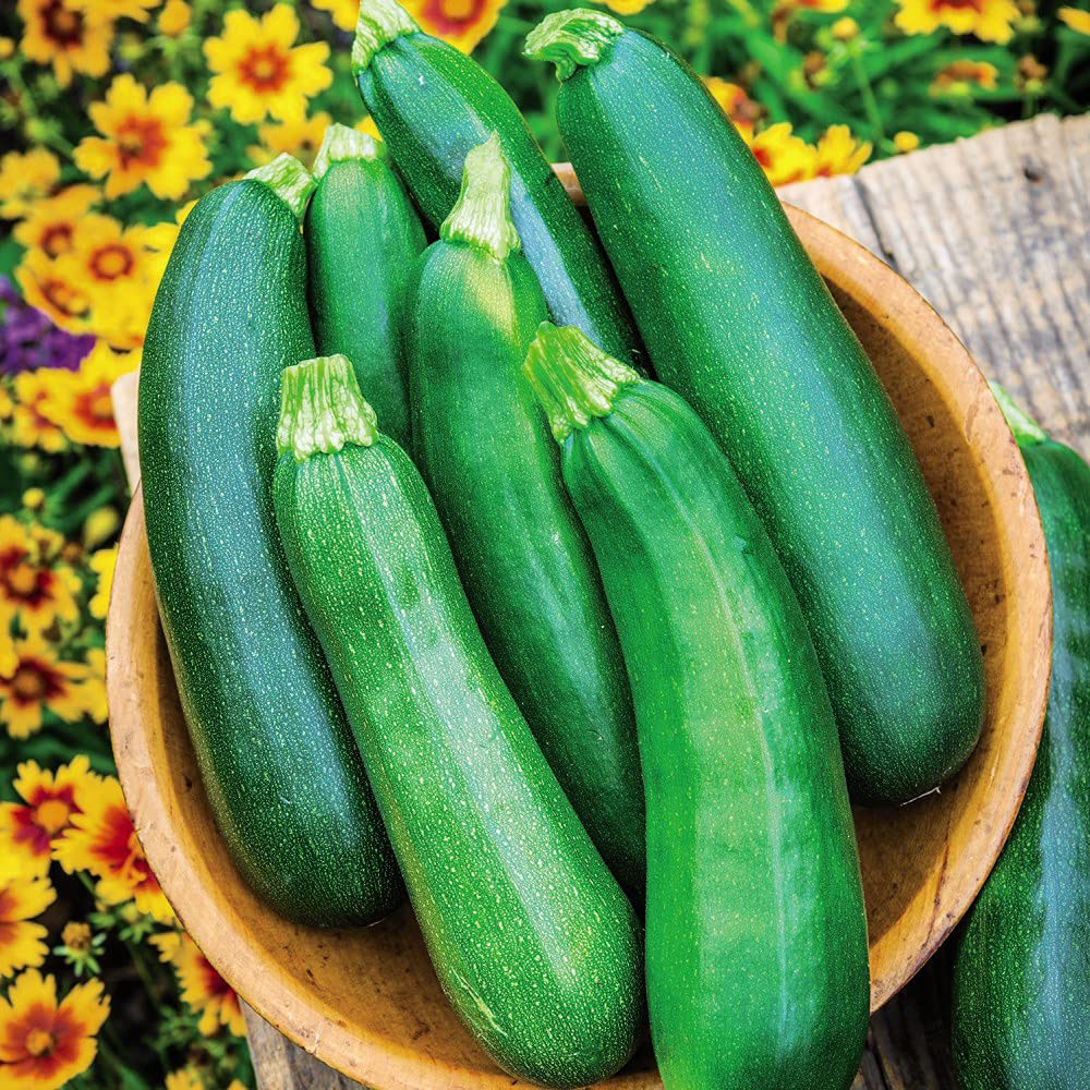 Thompson and Morgan Courgette Sure Thing Seeds Image 2