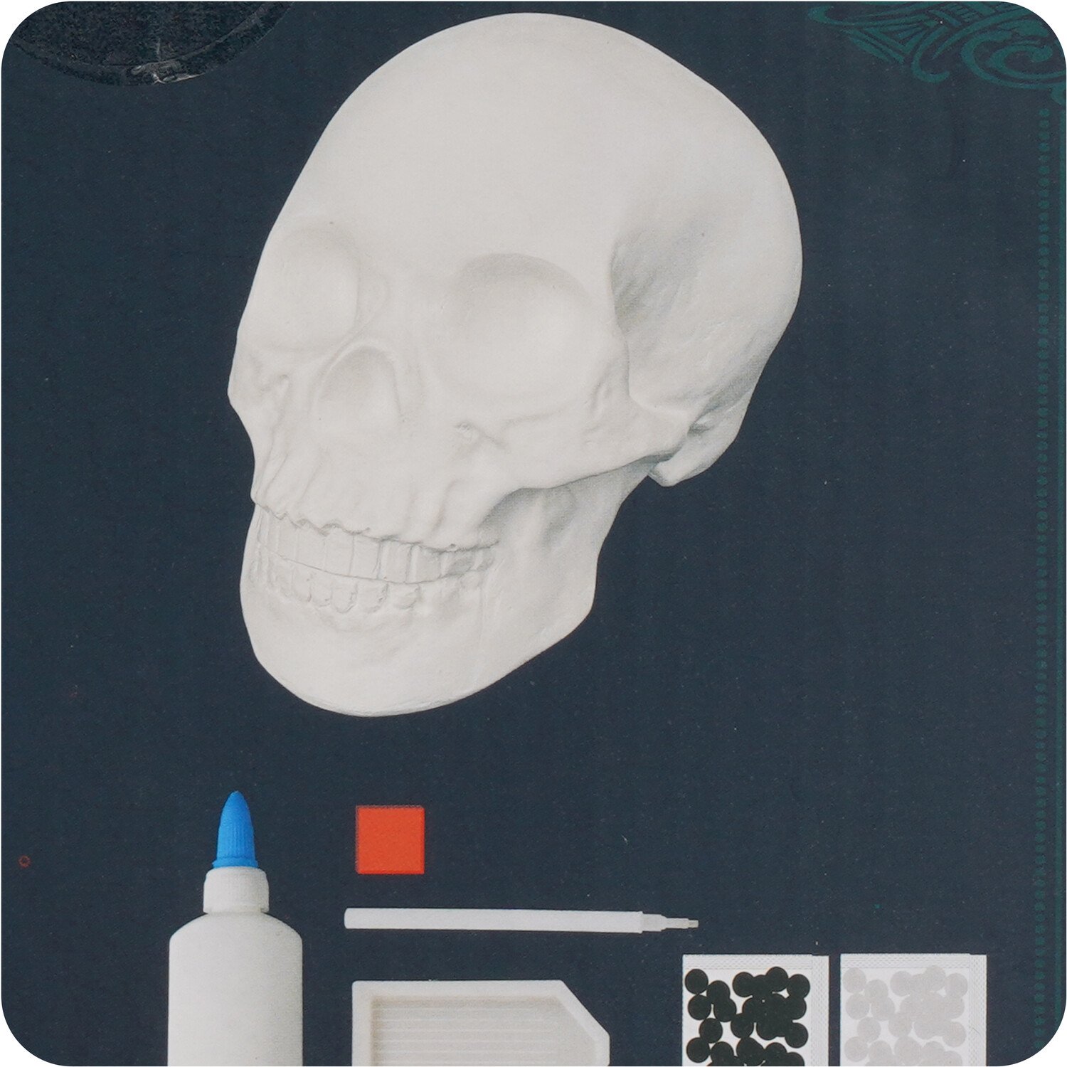 3D Diamond Painting Skull Kit White Image 4
