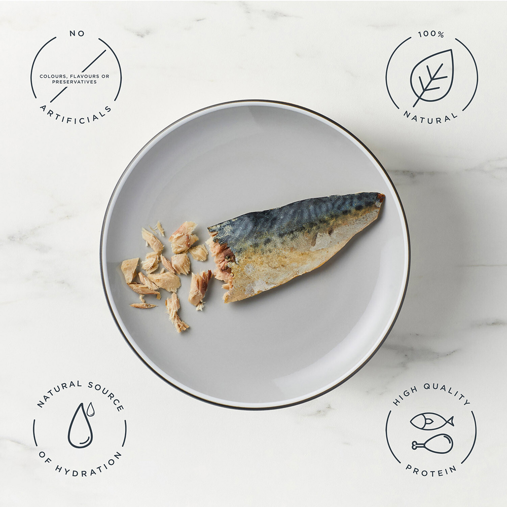 Encore Natural Wet Cat Treat Mackerel Fillet Image 2