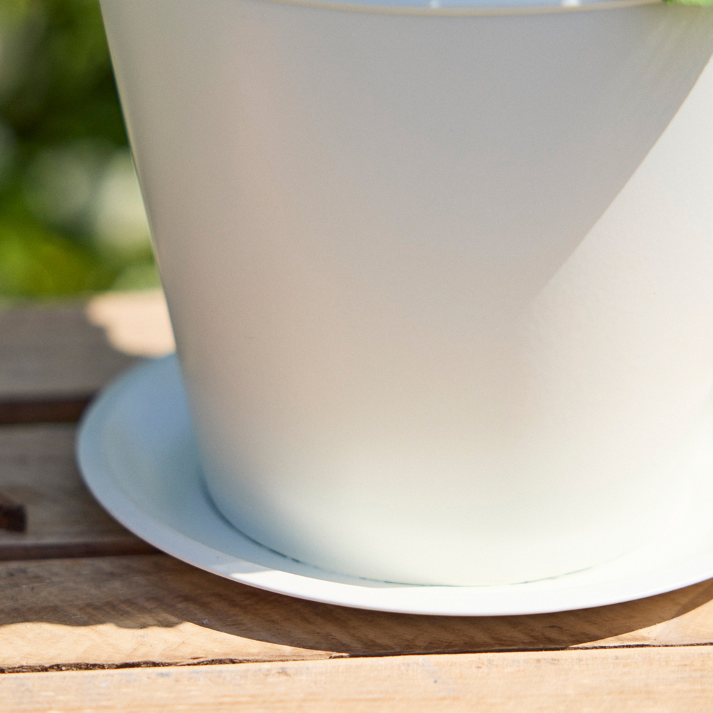 Dibor Cream Vintage Tea Cup Planter 15cm Image 3