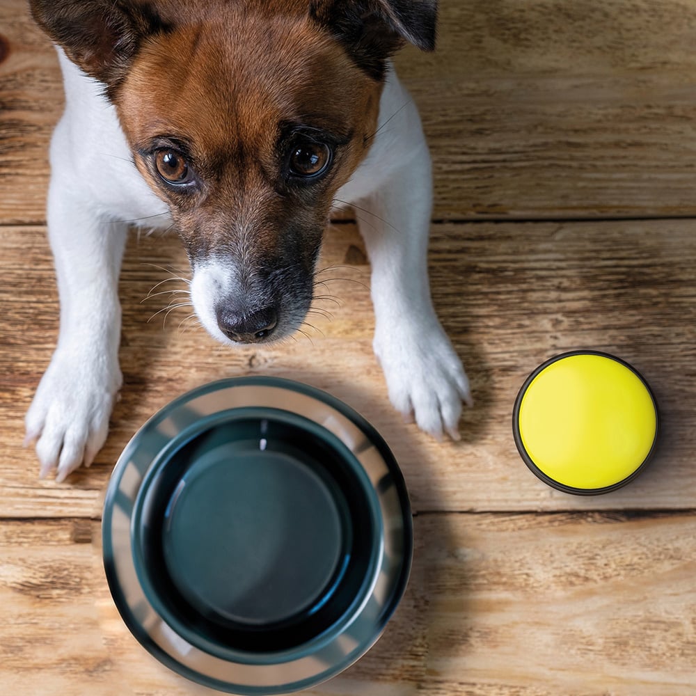 JML Paws2Talk Dog Training Button System Image 6