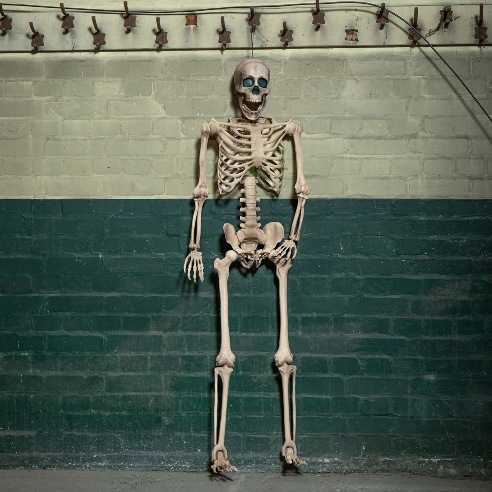 Samuel Alexander Green LED Battery Powered Skeleton Halloween Decoration 5ft Image 9