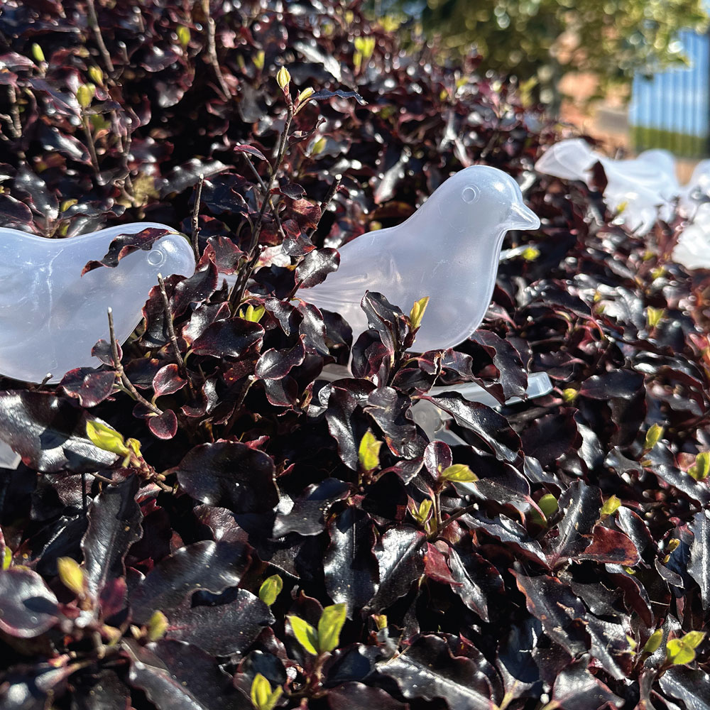 Gardenkraft Solar Acrylic Birds String Lights 10 Pack Image 4