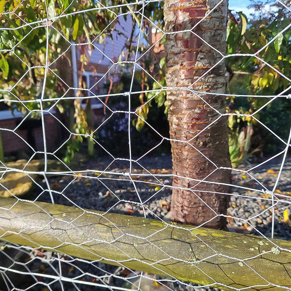 Inspirational Gifting 25mm Galvanised Wire Mesh Chicken Fencing Roll 90cm x 50m Image 4