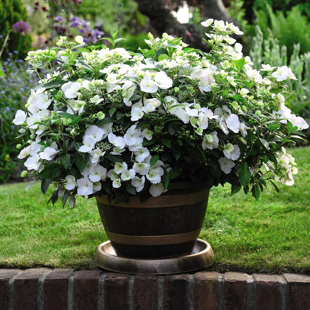 Garden Gear Wooden Barrel Effect Plant Pot and Saucer 40cm 2 Pack Image 2