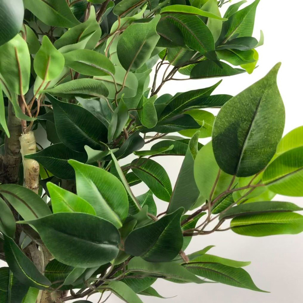 Leaf Evergreen Ficus Artificial Plant in Multicolour Curve Planter 110cm Image 5