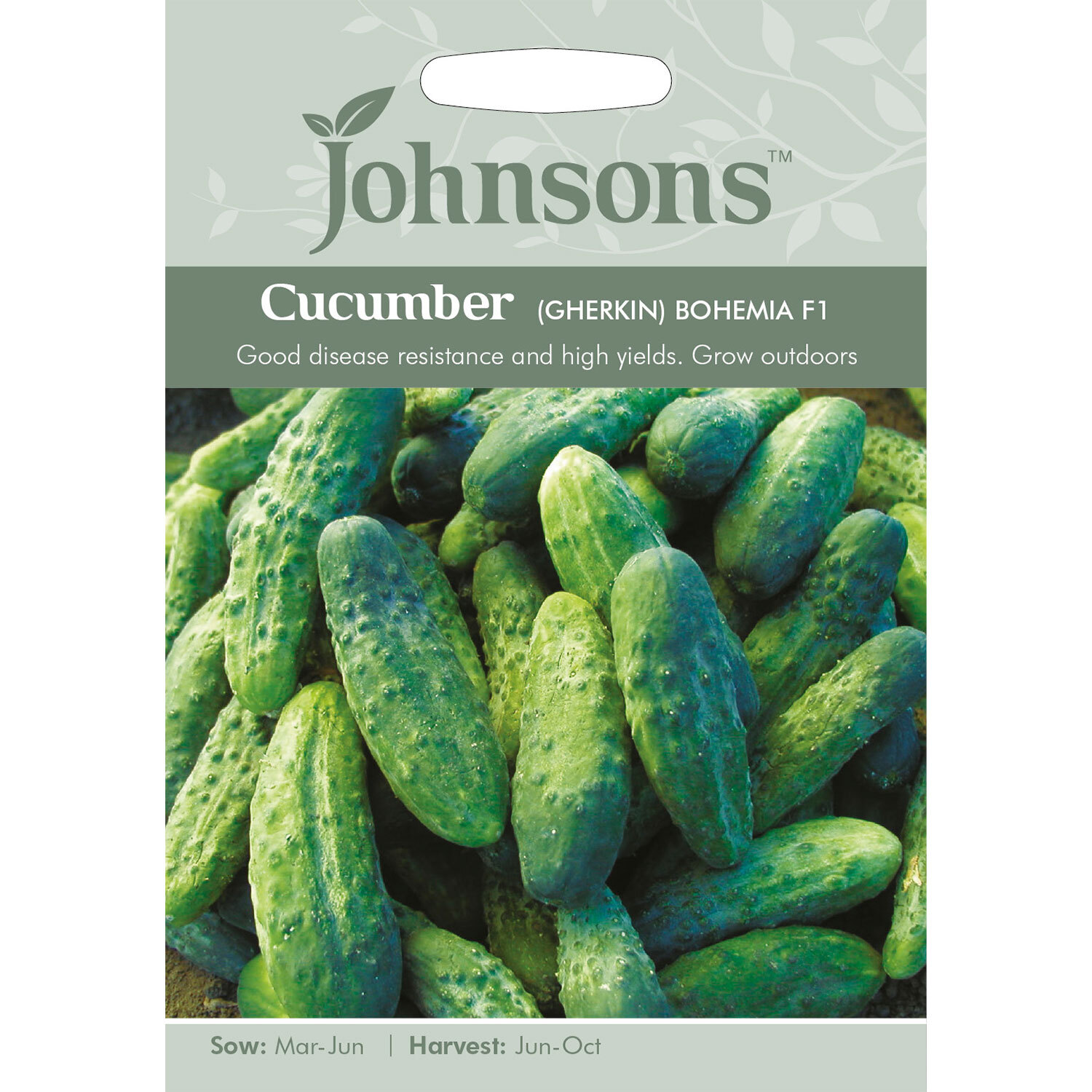 Johnsons (Gherkin) Bohemia F1 Cucumber Seeds Image 1