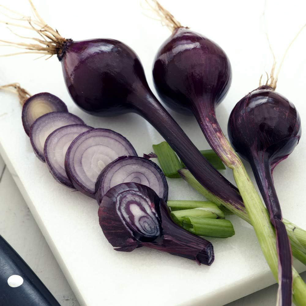 Thompson and Morgan Spring Onion Purplette Seeds Image 2