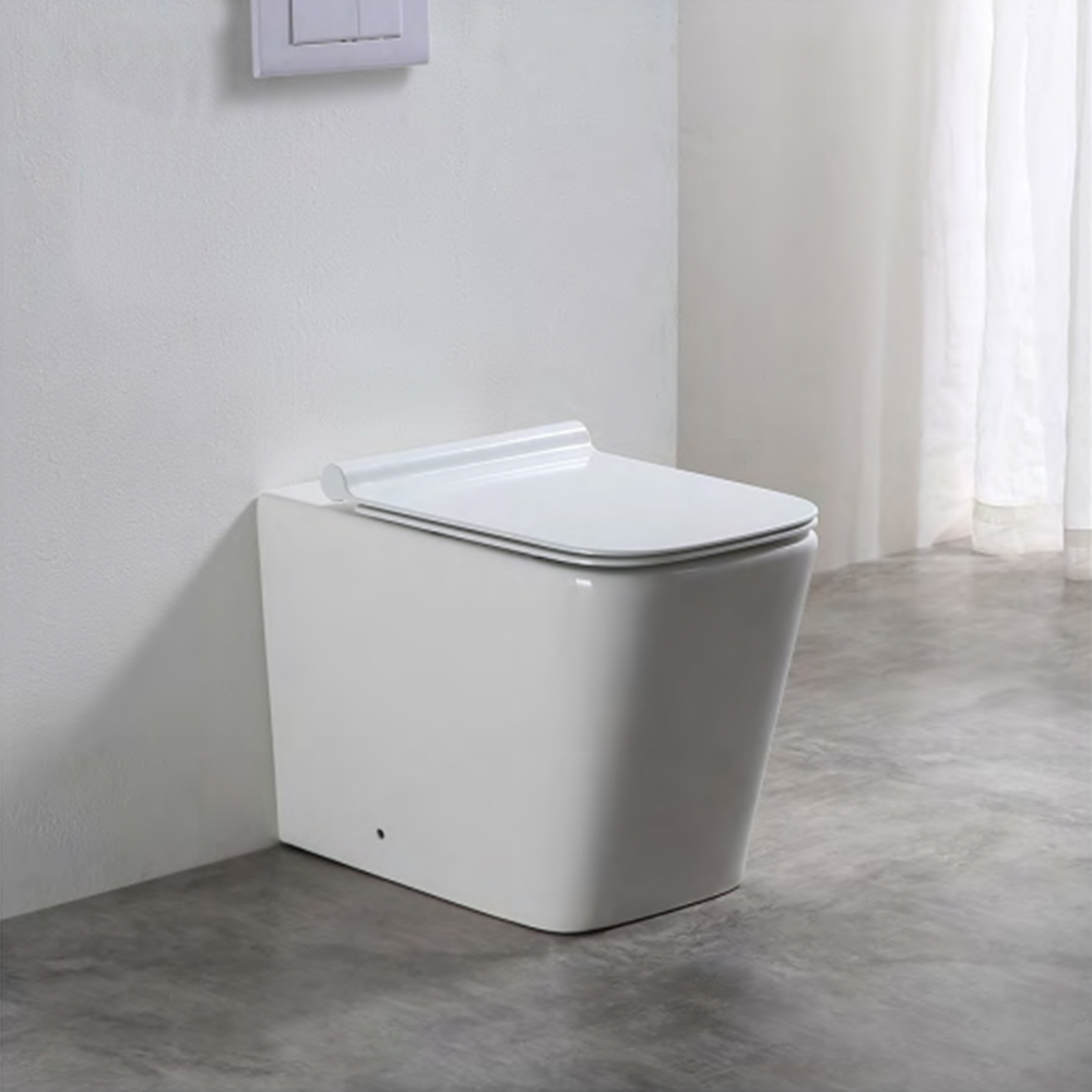 Limoge Oran White Back to Wall Rimless Toilet Pan Image 2