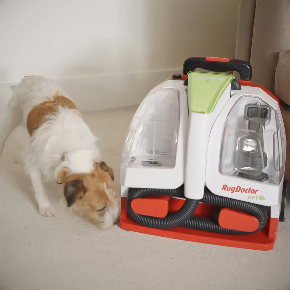 Rug Doctor Pet Portable Spot Cleaner Image 2
