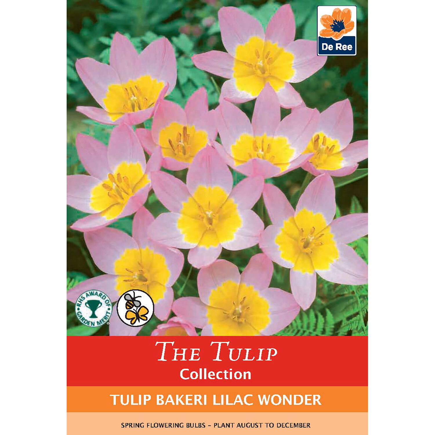 The Daffodil Collection Bulbs Image 14