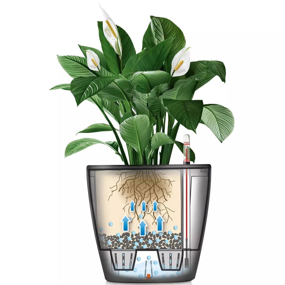 Lechuza Classico Sand Brown Poly-Resin Self-Watering Planter 21cm 2 Pack Image 3
