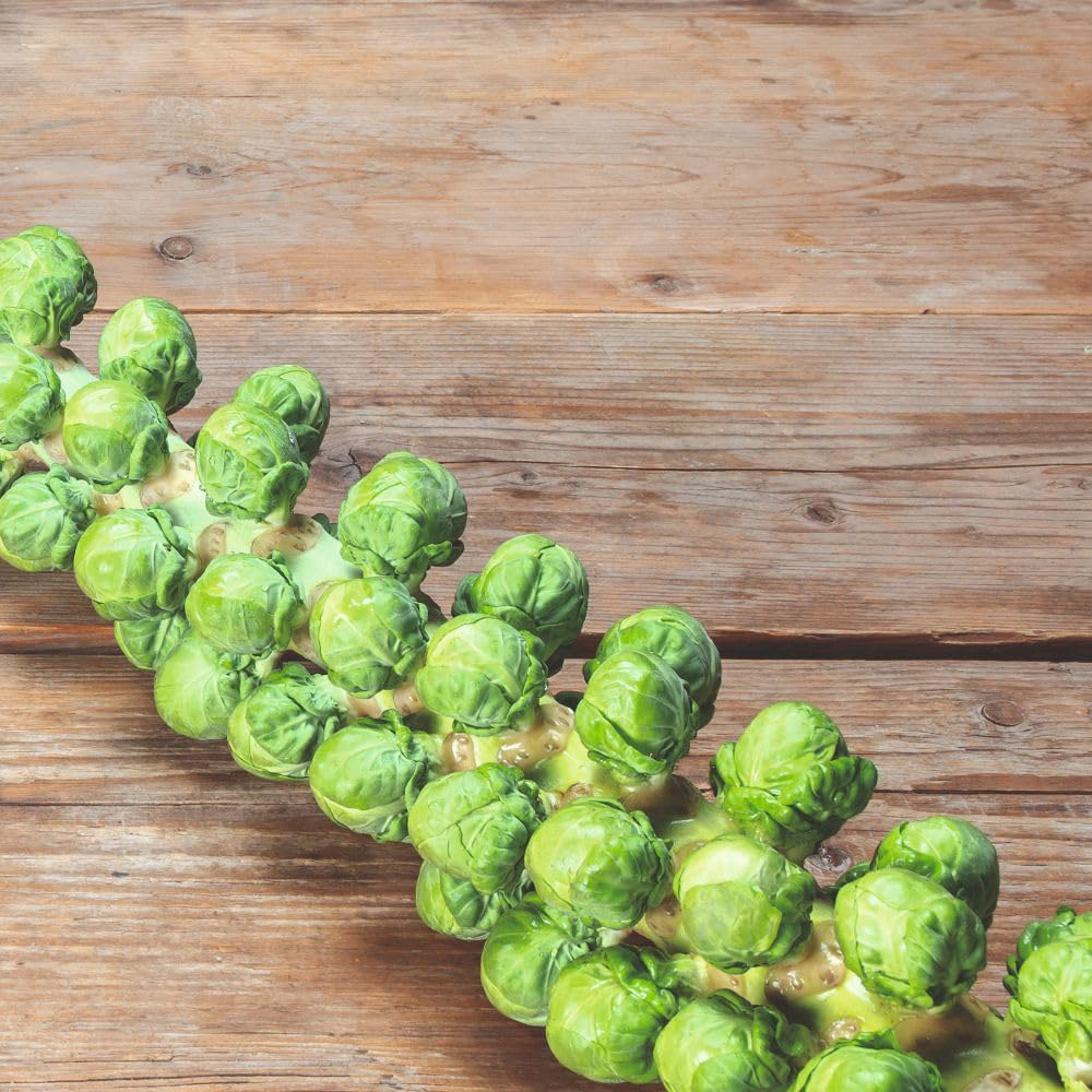 Thompson and Morgan Brussels Sprout Hector F1 Seeds Image 3