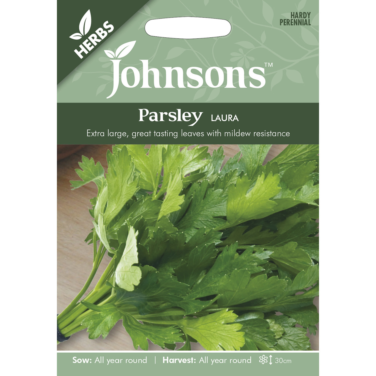 Johnsons Laura Parsley Herb Seeds Image 2