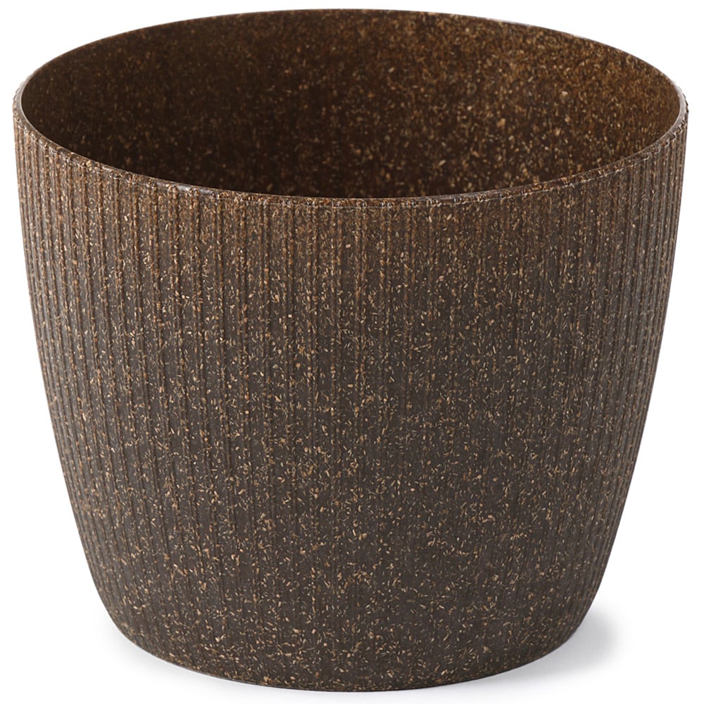 YouGarden Zebra Plant with Espresso Pot Cover Image 3