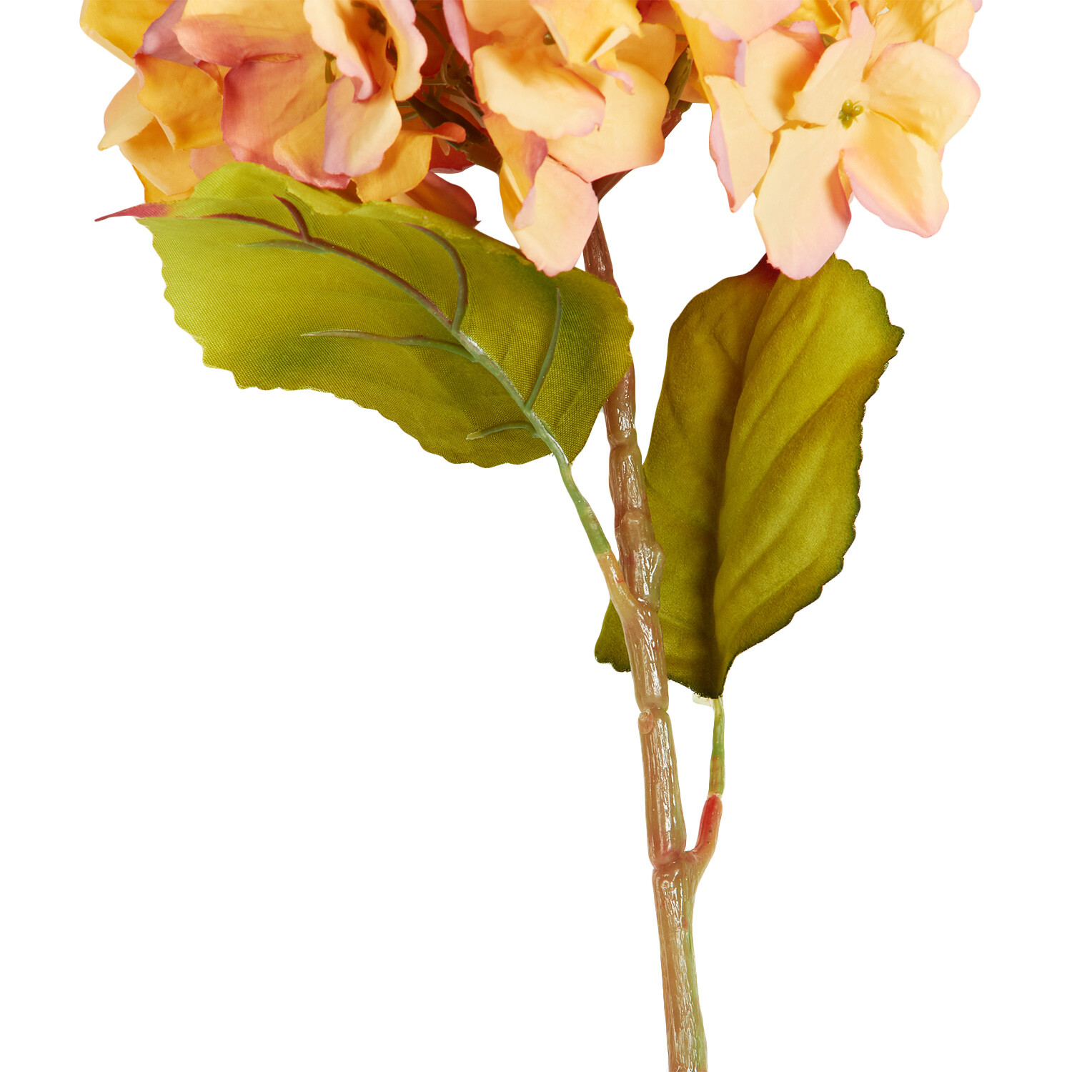 Assorted Hydrangea Single Stem - Orange or Purple Image 8