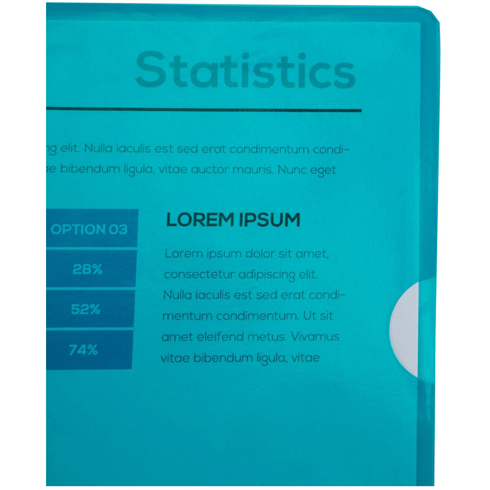 Exacompta A4 Green PVC Cut Flush Folder 10 Pack Image 5