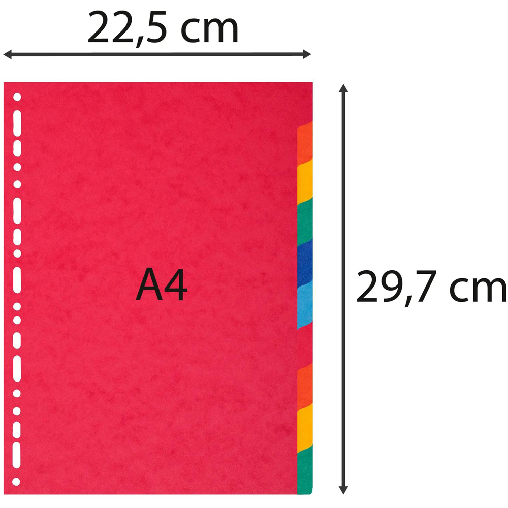 Exacompta A4 10 Section Assorted Colour Polypropylene Lightweight Divider 10 Pack Image 4