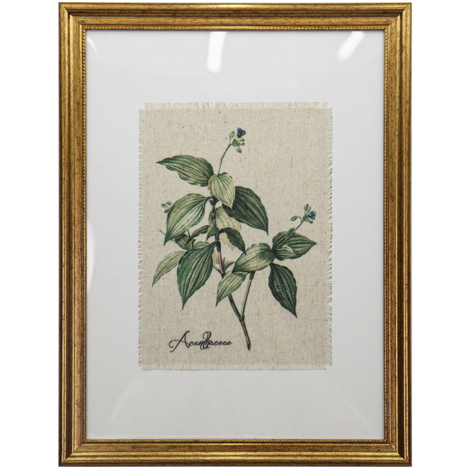 Gold Framed Botanical Flowers Wall Art Image 2