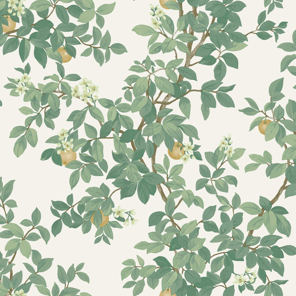 Holden Decor Orange Tree Cream and Green Wallpaper Image 1