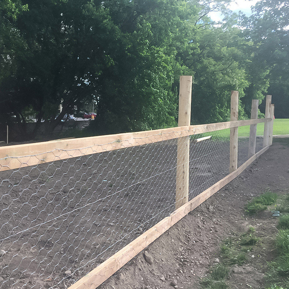 Inspirational Gifting 25mm Galvanised Wire Mesh Chicken Fencing Roll 90cm x 50m Image 3