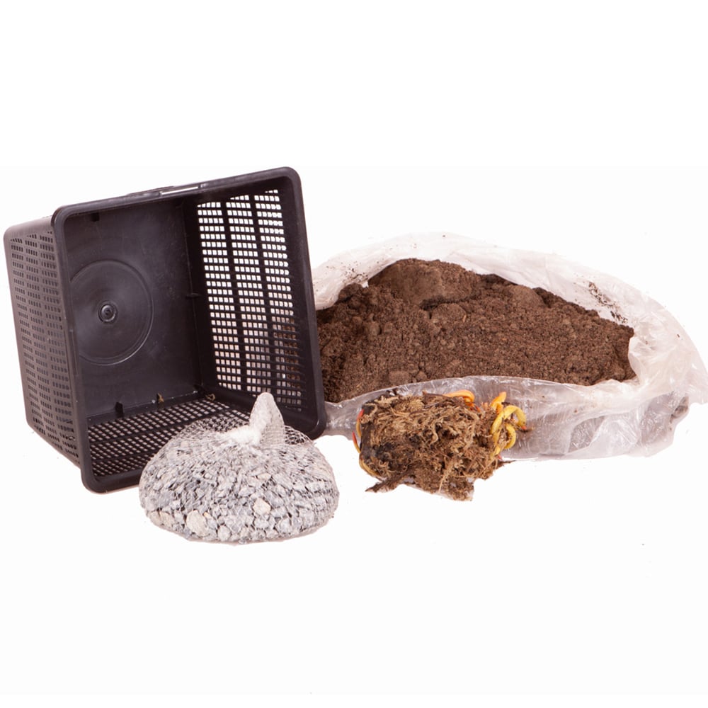 YouGarden White Water Lily Planting Kit Image 2