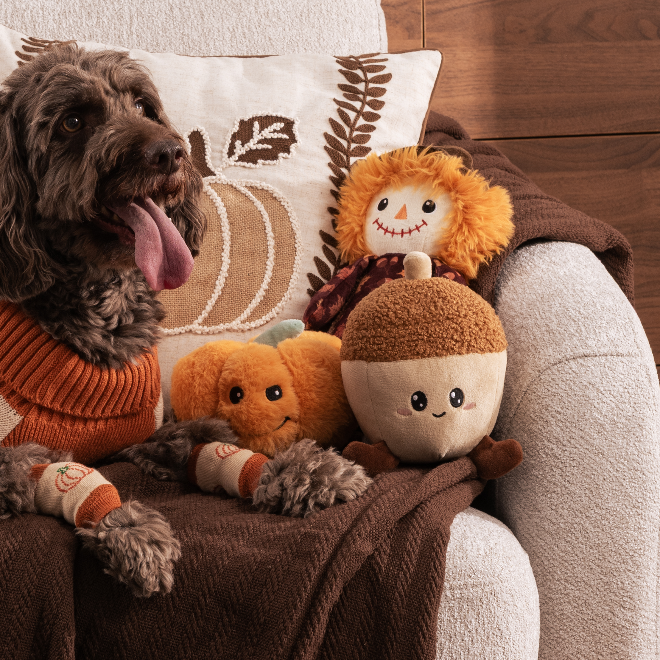 Pumpkin Pickers Dog Toy Image 3