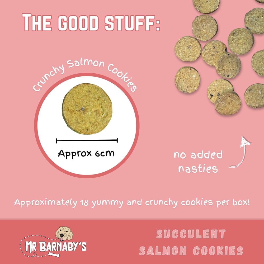 Mr Barnaby's Succulent Salmon Cookies Dog Treats 4 Pack Image 2