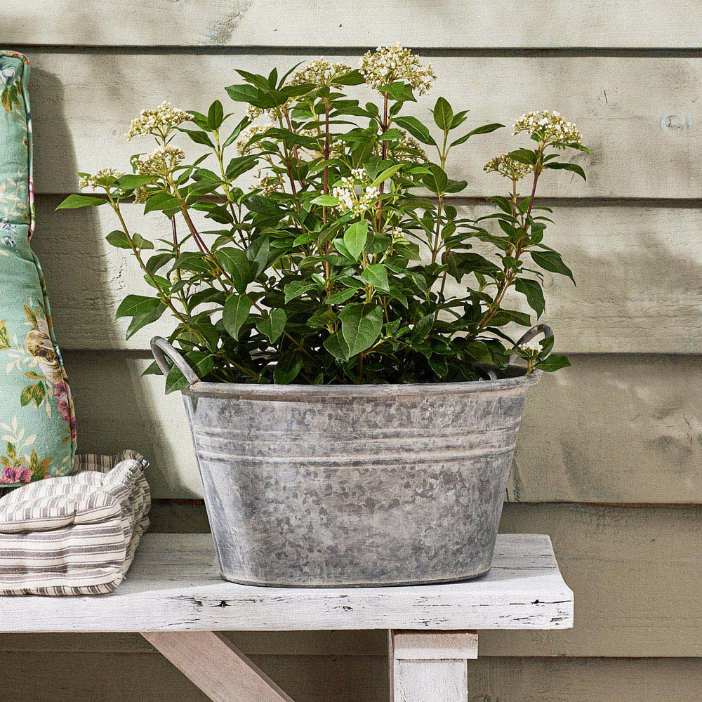 Dibor Galvanised Metal Tub Planter 23 x 35.5cm Image 2