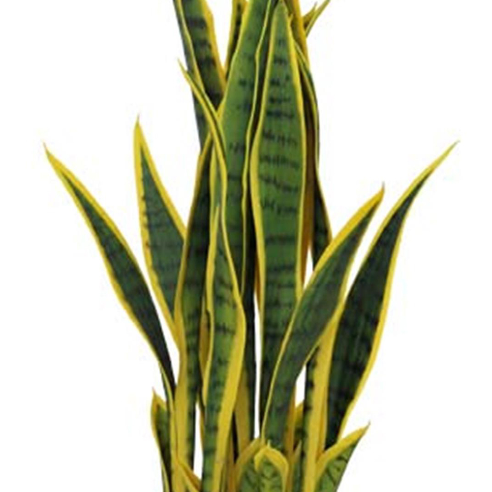 Leaf Sansevieria Artificial Plant Pot 70cm Image 2