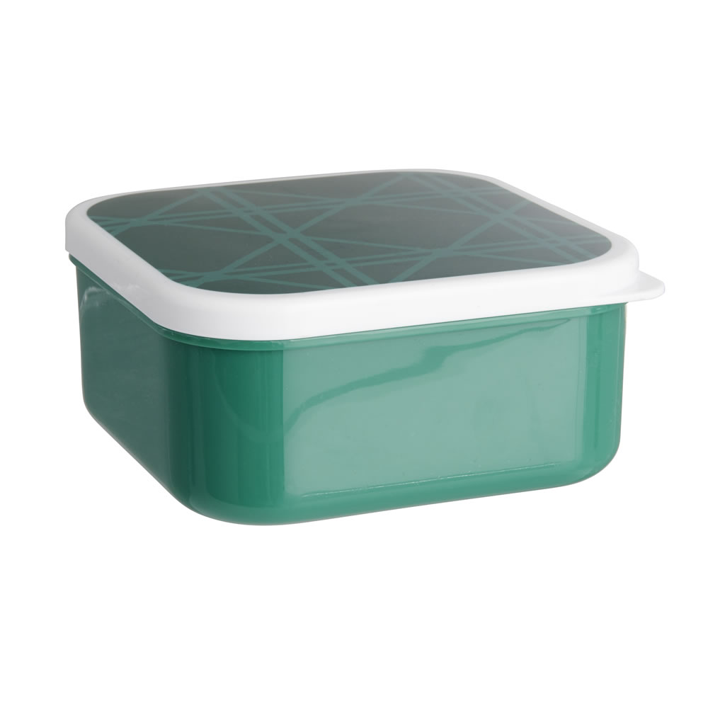 Wilko Discovery Food Containers Assorted Wilko
