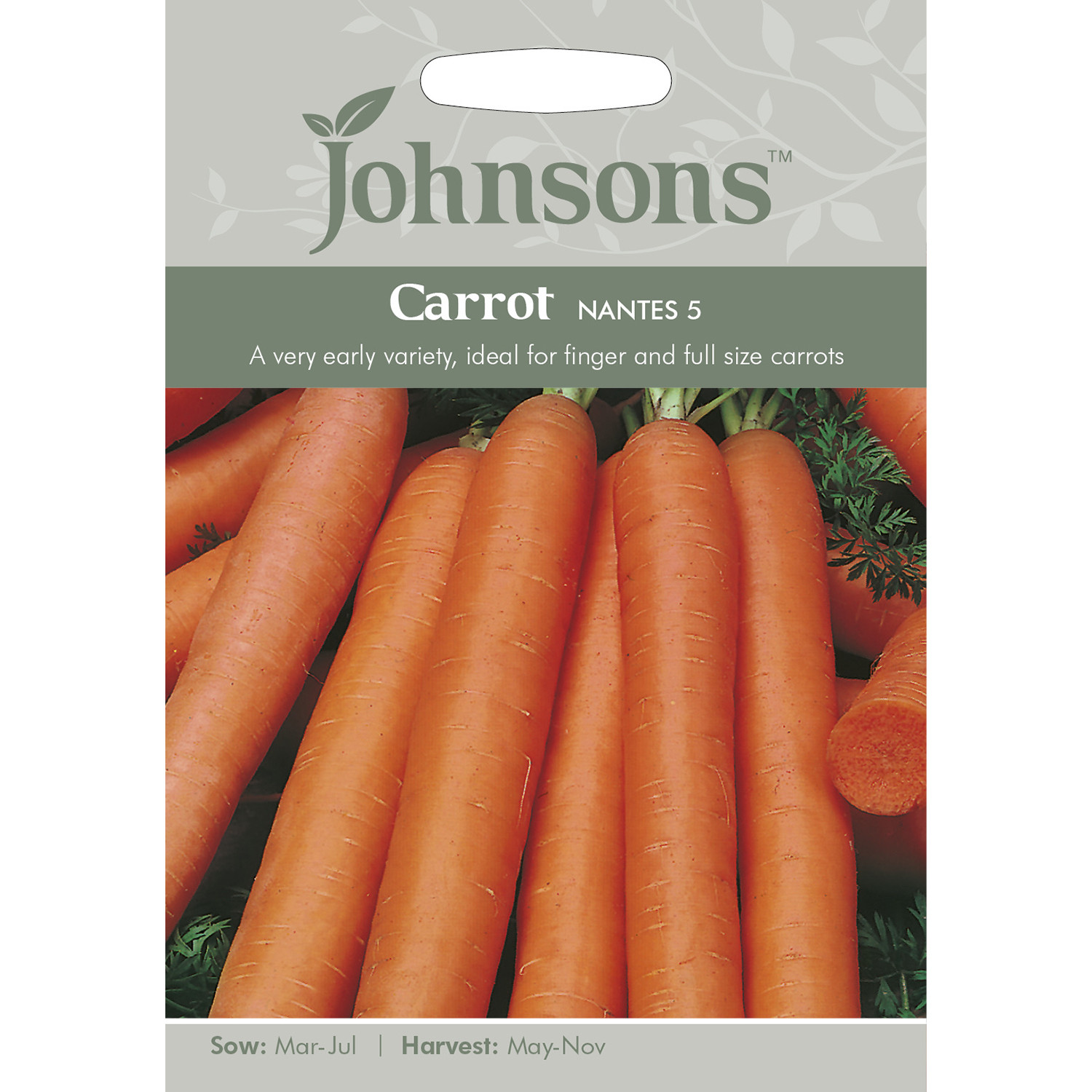 Johnsons Nantes 5 Carrot Seeds Image 2