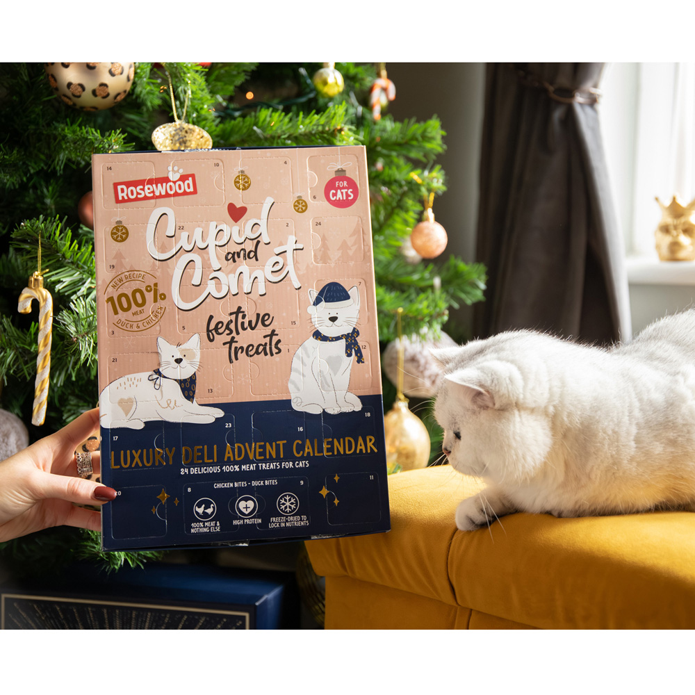 Luxury Deli Advent Calendar for Cats Image 4