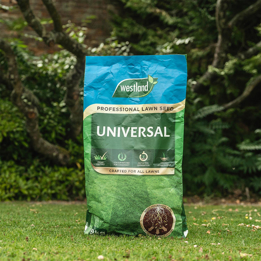 Westland Universal Professional Lawn Seed 9kg Image 2