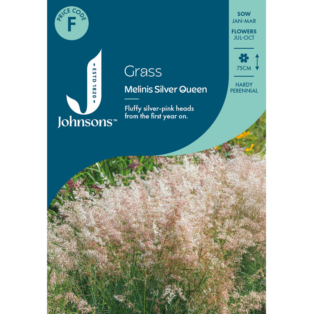 Pack of Grass Melinis Silver Queen Flower Seeds Image 1