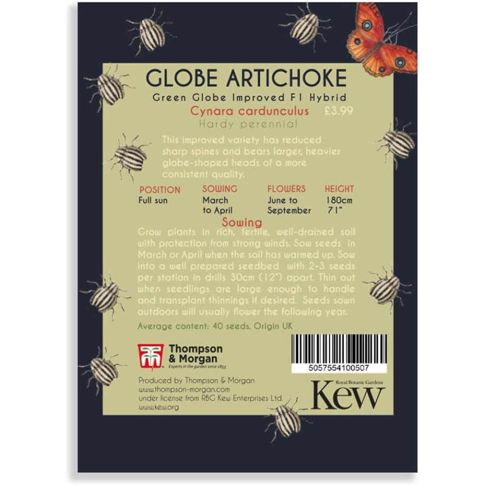 Thompson and Morgan Artichoke Green Globe Improved Seeds Image 2