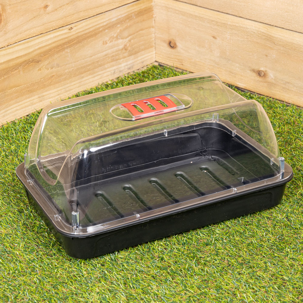 Samuel Alexander Sankey Seed Starter Tray Grostart Midi Propagator Kit Image 2