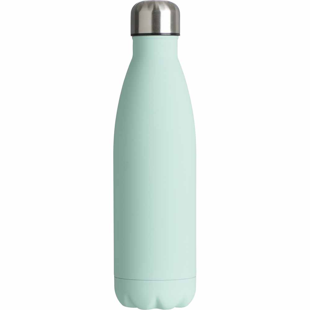 Wilko Double Wall Bottle Sage Wilko