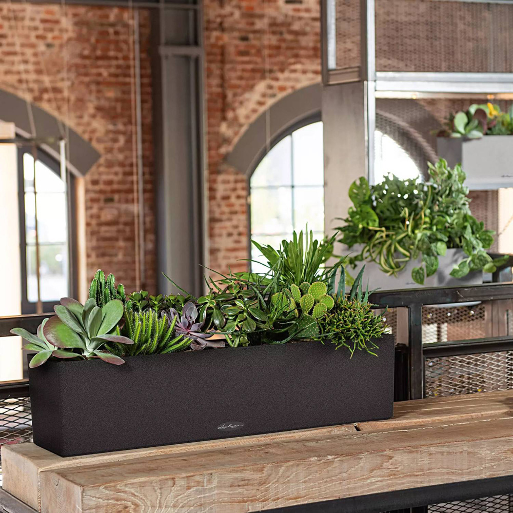 Lechuza Balconera Colour 80 Graphite Black Self-Watering Planter 19cm Image 2