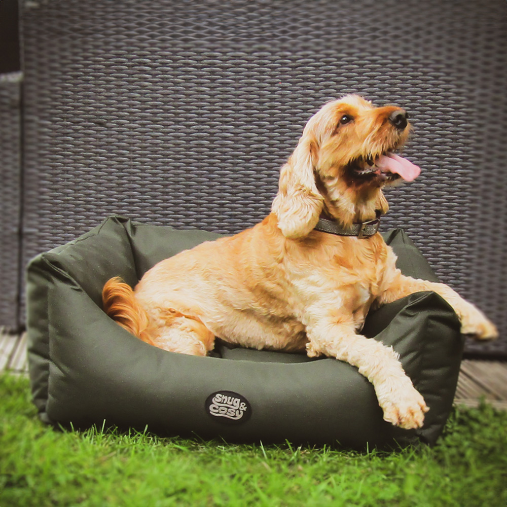 Snug & Cosy Pescara Small Rectangle Green Dog Bed Image 2