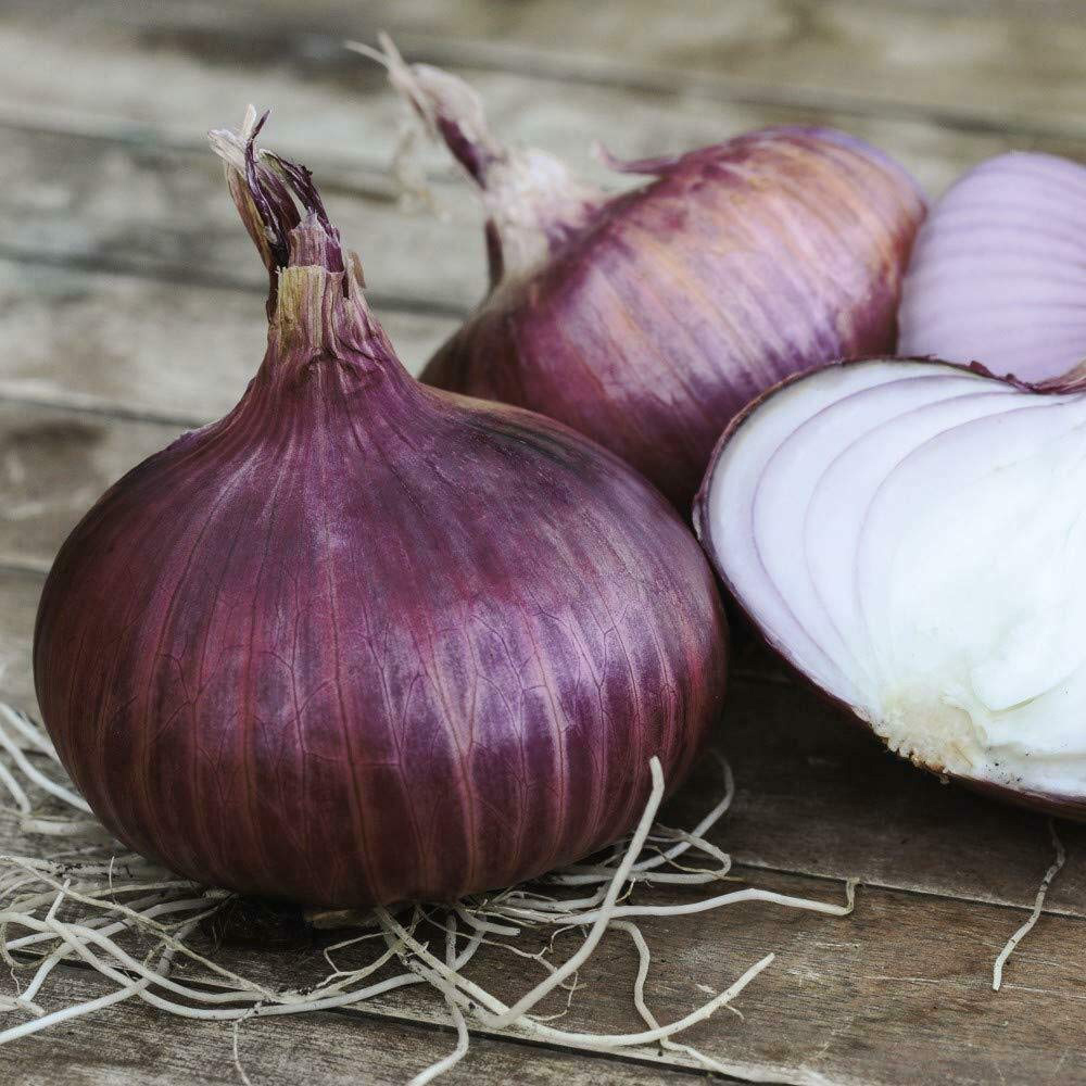 Thompson & Morgan Onion Red Baron Seeds Image 1