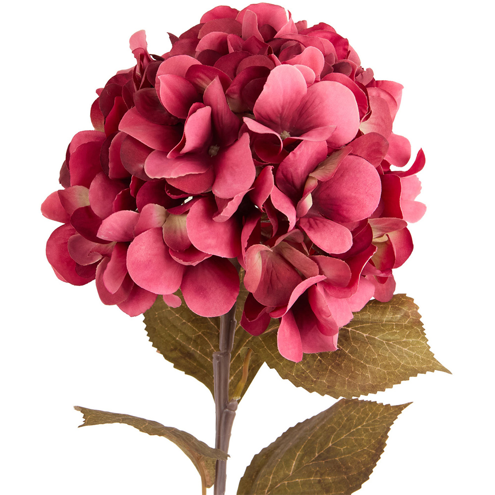 Autumn Hydrangea Stem Image 9