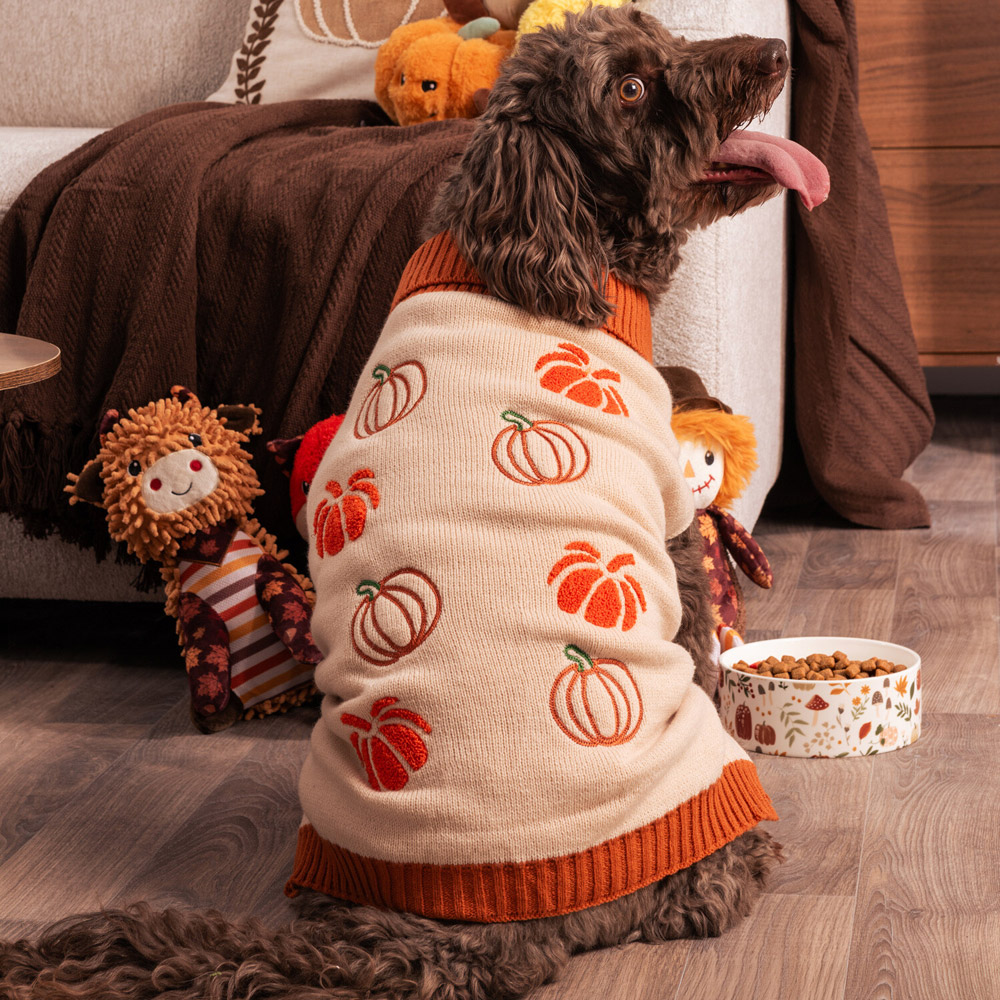Pumpkin Dog Jumper Neutral XS Image 3