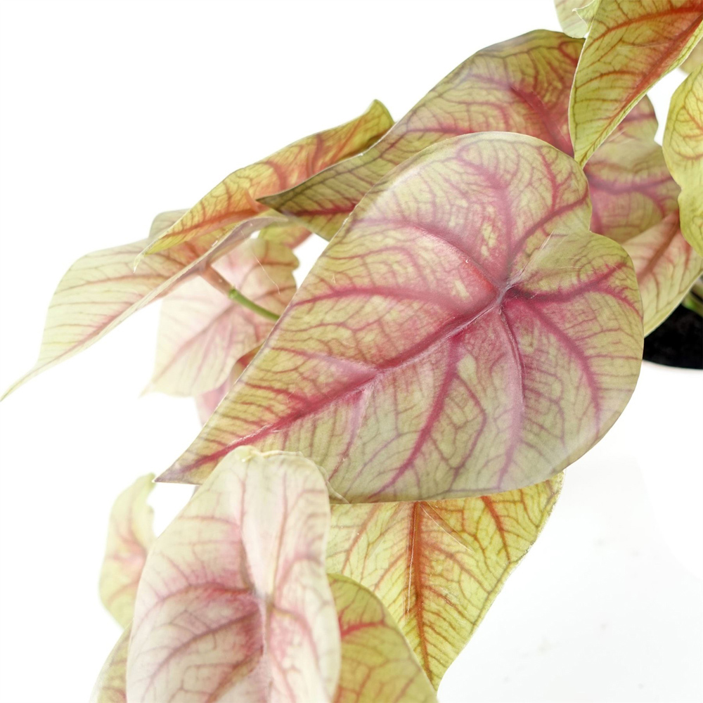 Leaf Pink Trailing Caladium Artificial Plant in Pot 30cm Image 3