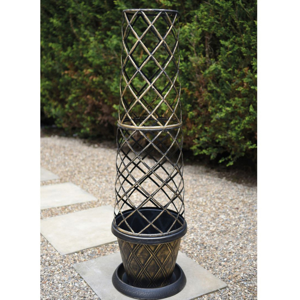Thompson and Morgan Lavatera Collection Plant Pot 2 Pack with Compost 25L Image 2